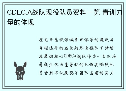 CDEC.A战队现役队员资料一览 青训力量的体现
