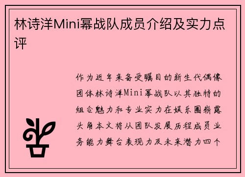 林诗洋Mini幂战队成员介绍及实力点评