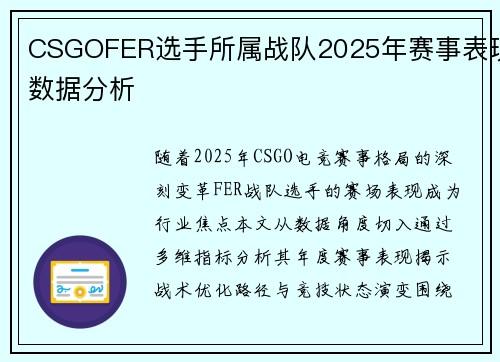 CSGOFER选手所属战队2025年赛事表现数据分析